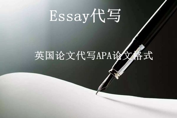 APA代写_apa,apa格式essay代写