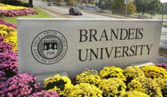 美国布兰迪斯大学essay怎么写,布兰迪斯大学论文代写