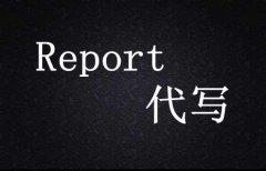 学术论文报告Report代写