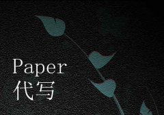 Paper 代写_paper essay代写