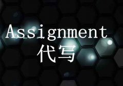 assignment代写