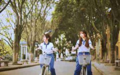 Essay作业代写_学霸代写，高枕无忧