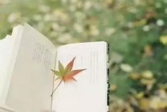英国留学生论文代写收费和质量关系