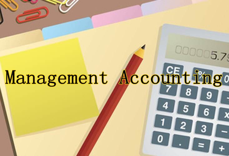 管理会计学论文代写范文：Management Accounting论文案例
