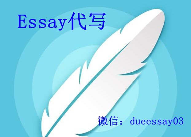 美国essay代写_essay作业代写