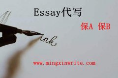 essay代写_保分 代写_100%硕博大神
