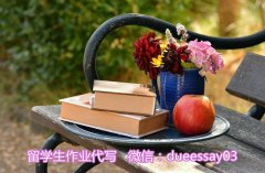专业论文代写平台_高分保证_专业服务
