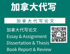 加拿大essay1V1代写,加拿大论文代写